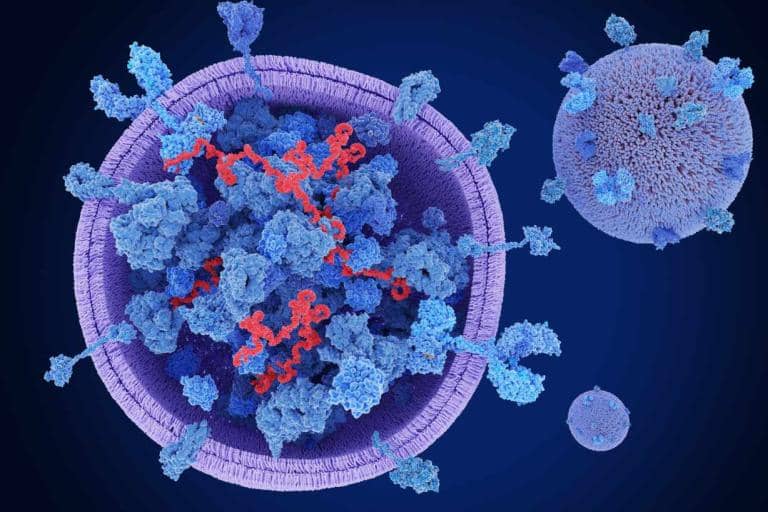 Introducing a  Pioneering New Treatment for Burns