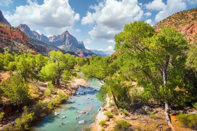 Zion National Park Raises The Bar in Inclusive Outdoor Adventure!