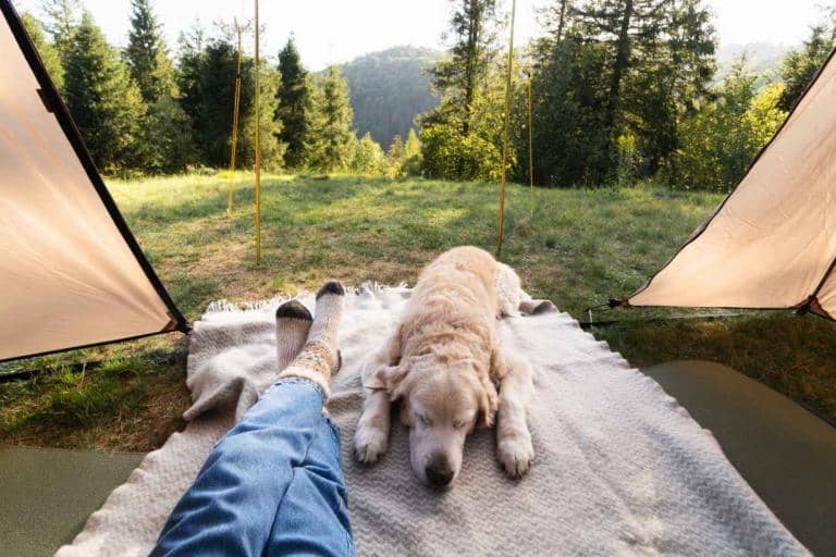 Friluftsliv: The Scandinavian Practice of Finding Joy Outdoors