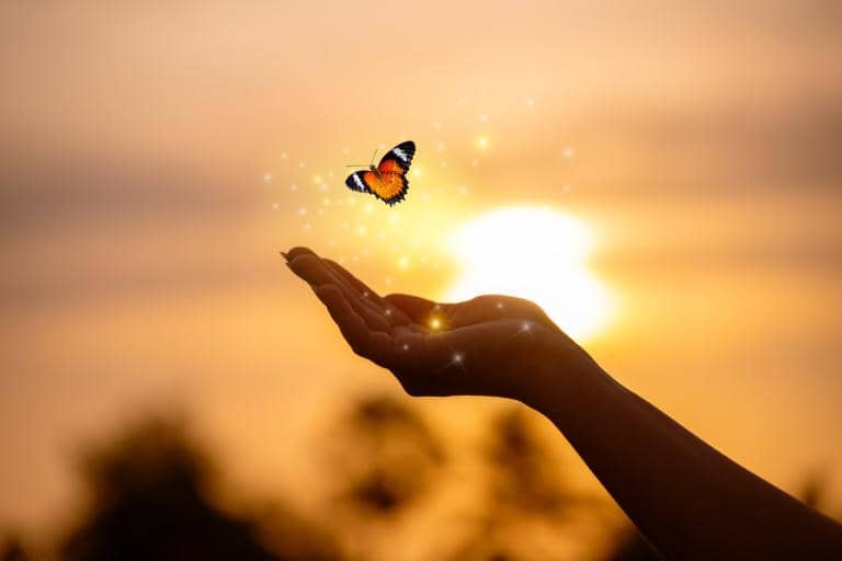 Introducing Essence of Life