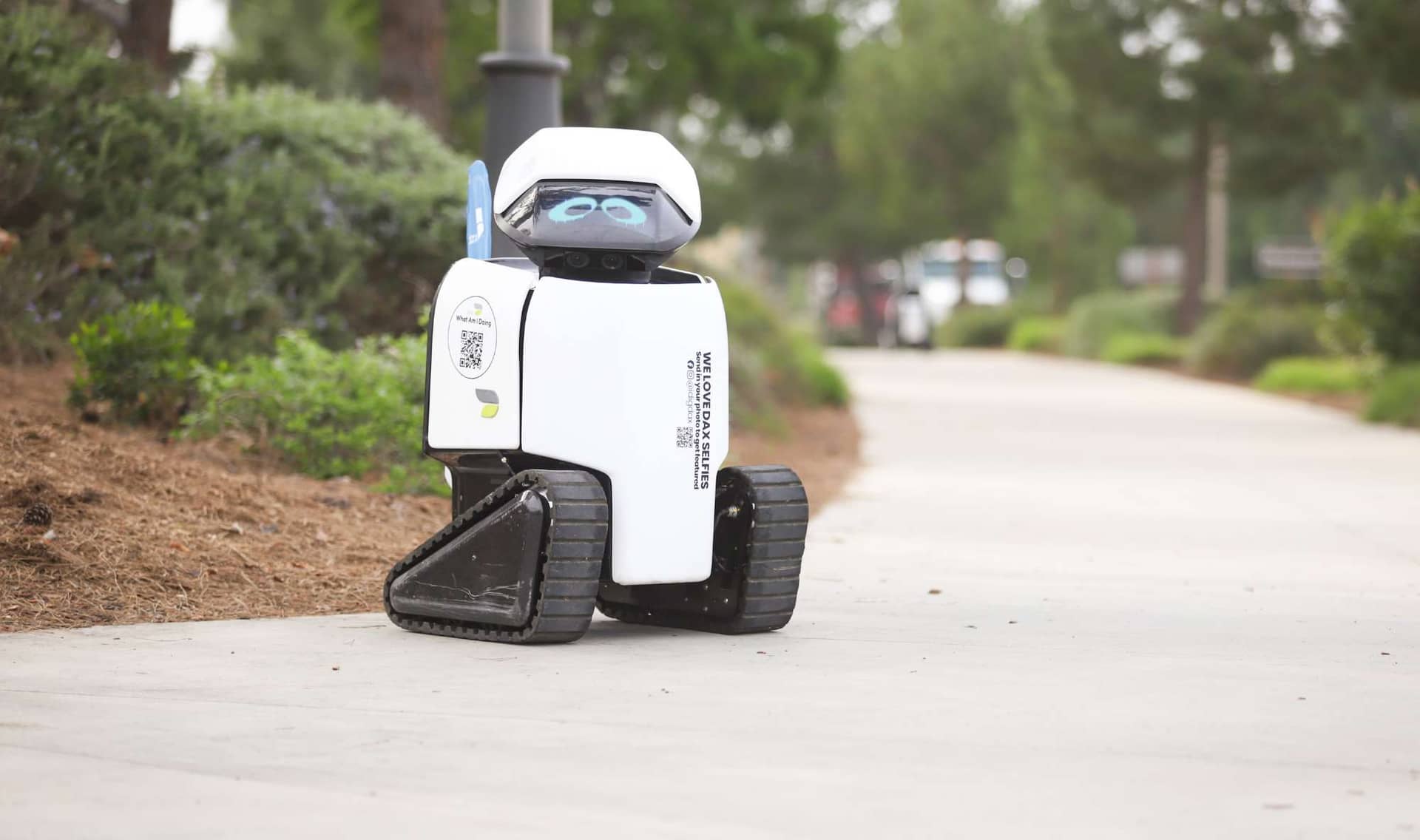 Daxbot, the little robot with a big job to do.
