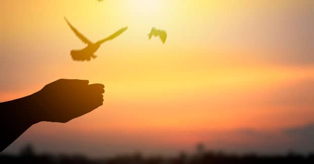 The Benefits of Forgiveness to Your Own Well-Being