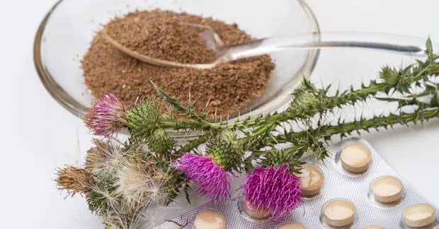 8 Unexpected Health Benefits of Milk Thistle