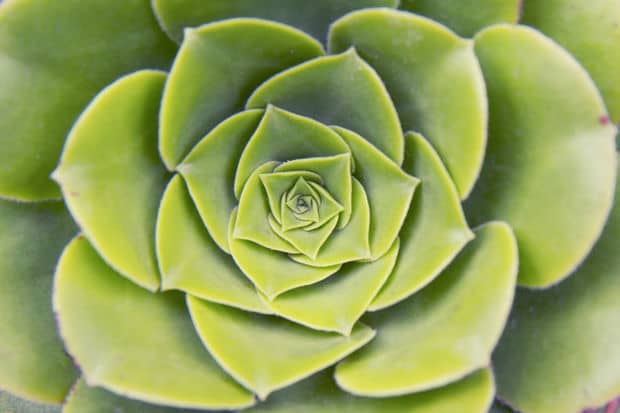 Exploring Sacred Geometry