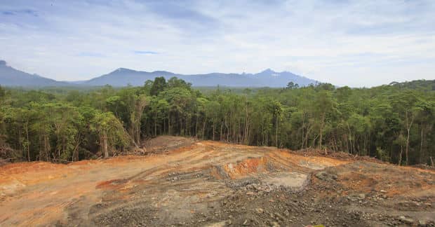 Norway will Pay Indonesia to Reduce Deforestation and Cut Emissions