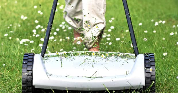 This School Gives Students Credit for Doing Yard Work for Seniors