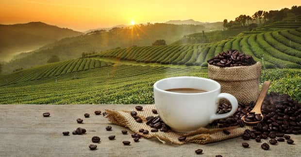 5 Ways to be a Conscientious Coffee Drinker