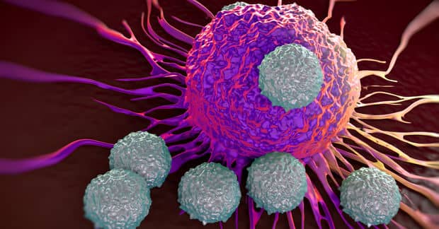 New T-Cell Discovery May Lead to Universal Cancer Therapy