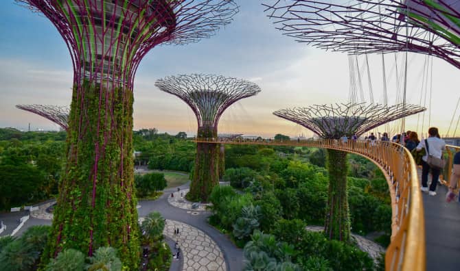 Singapore’s Surreal Supertree Grove Will Leave You in Awe