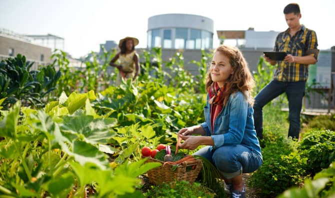 5 Inspiring Urban Community Garden Projects for City-Dwellers