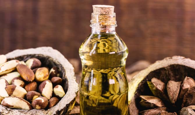 5 Reasons to Eat Brazil Nuts Every Day