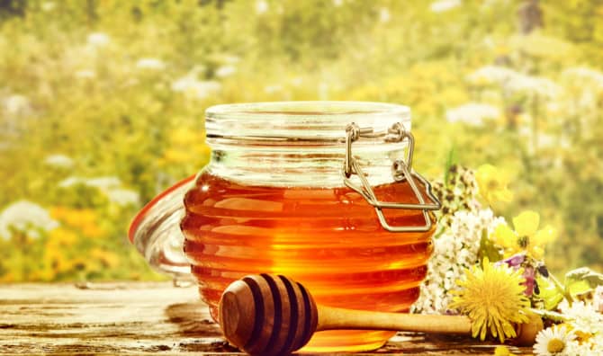 Beeless Honey Helps Save Native Bees