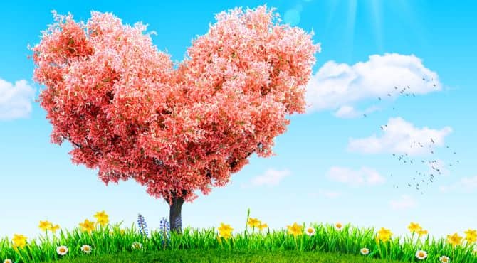 7 Apps That Make Doing Good a Breeze