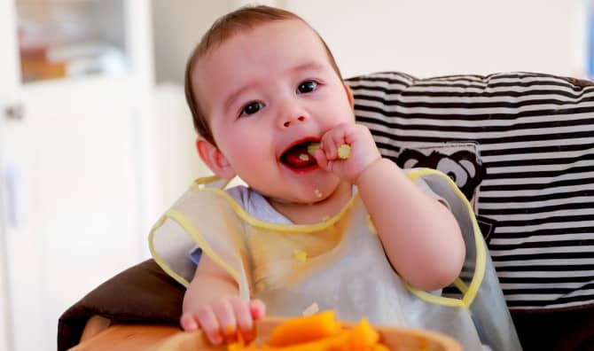 More Plant-Based Food Options are Available for Babies