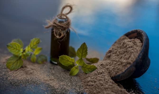 5 Wellness Benefits of Bacopa to Explore