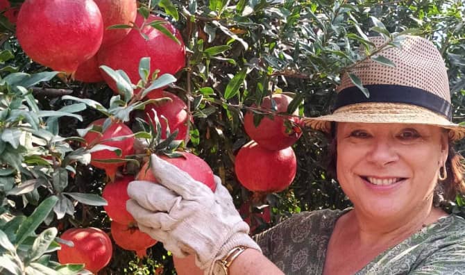 Harvesting Hope: Volunteers Unite to Support Israeli Farmers