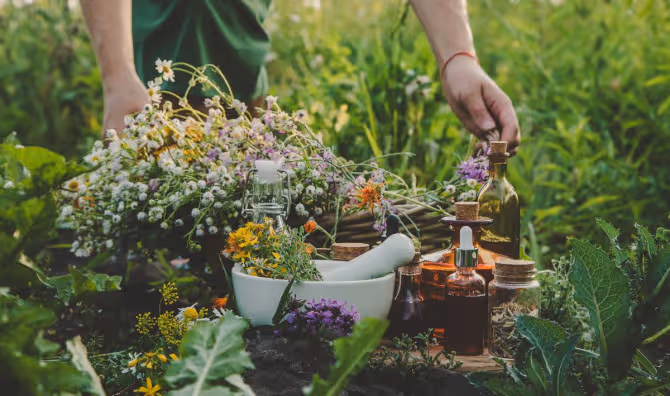 5 Healing Weeds in Your Backyard