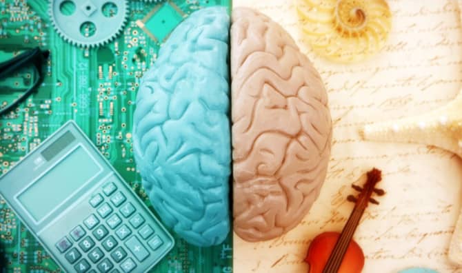 Are You More Left Brained or More Right Brained?