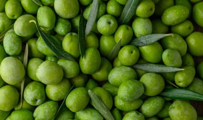 Turning Olive Pits Into Fuel