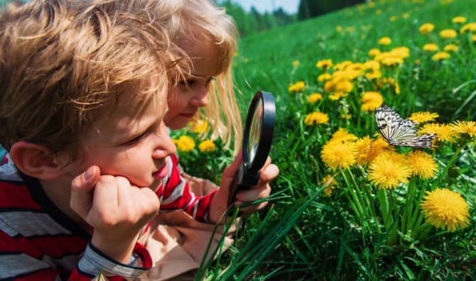 Can We Raise Kids to Feel Empathy for Nature?