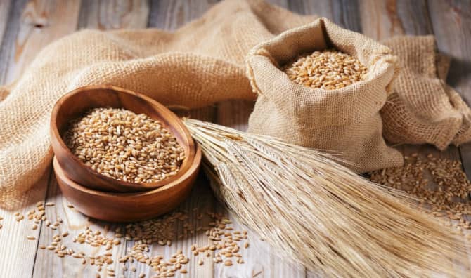 7 Best Benefits of Eating Barley