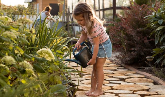 5 Tips to Keep Your Garden Cool During the Summer Heat