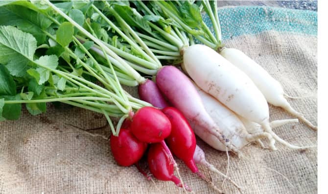 5 Radish Recipes That are Really Good for You