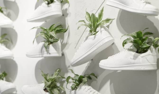 White sneakers mounted on a white wall as planters, each holding small green plants in a creative display.