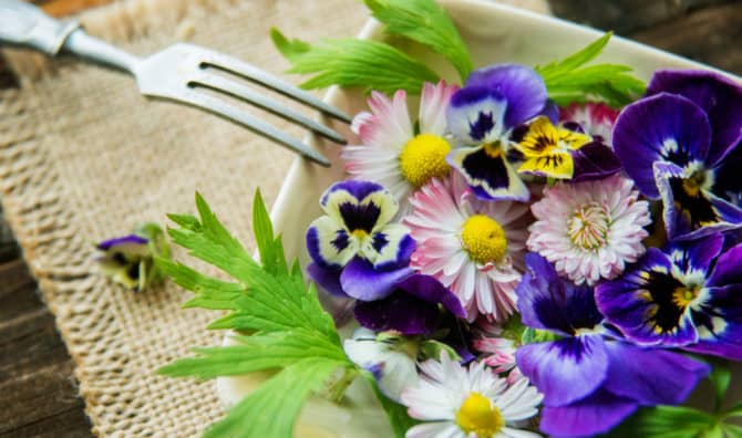 9 Flowers You Can Eat And Enjoy