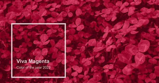 The 2023 Color of the Year is Viva Magenta!