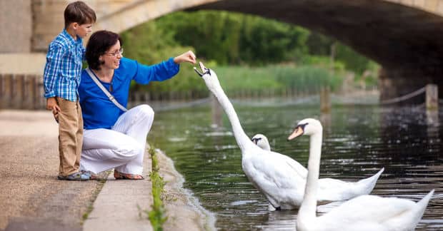 Living Near Water Could Boost Your Wellbeing
