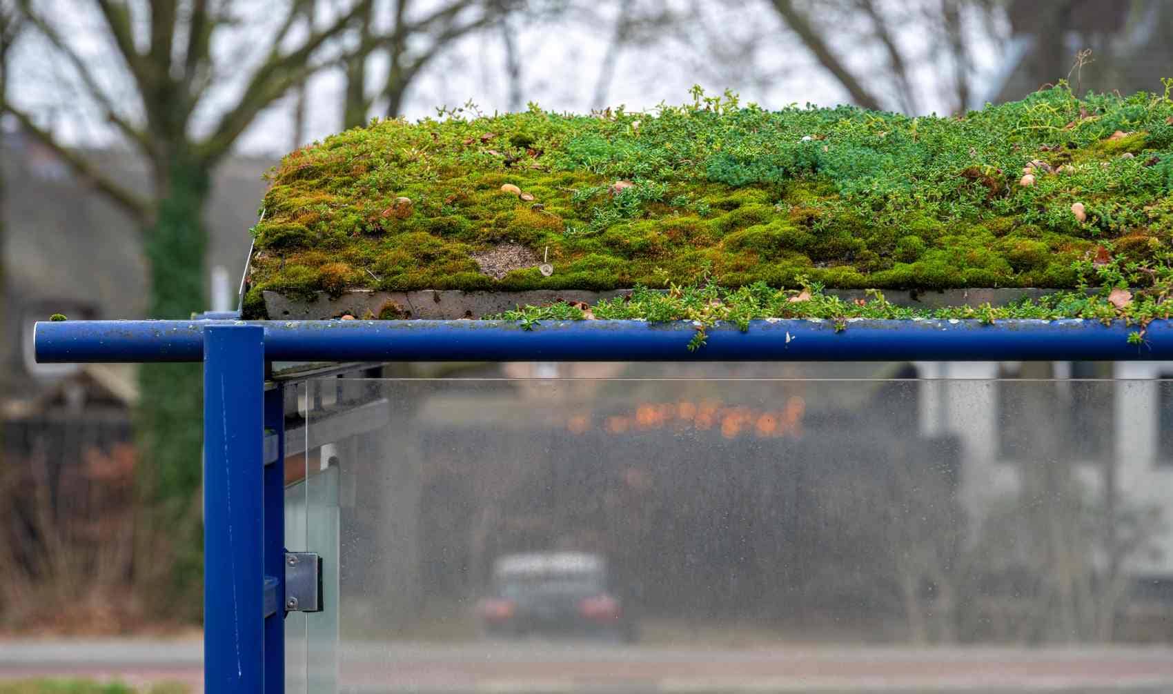 Green bus stop.