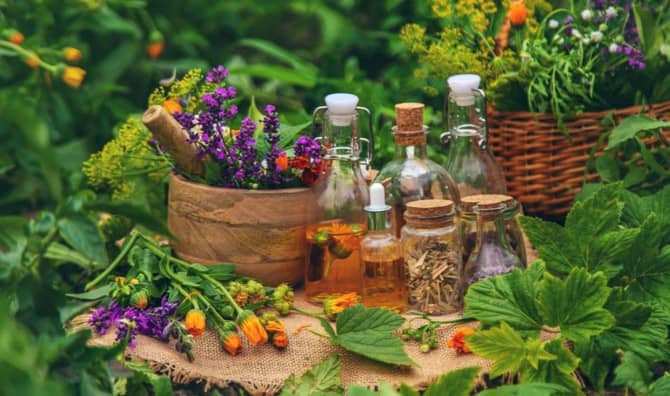 From Stress to Serenity: Ayurvedic Practices for Modern Life