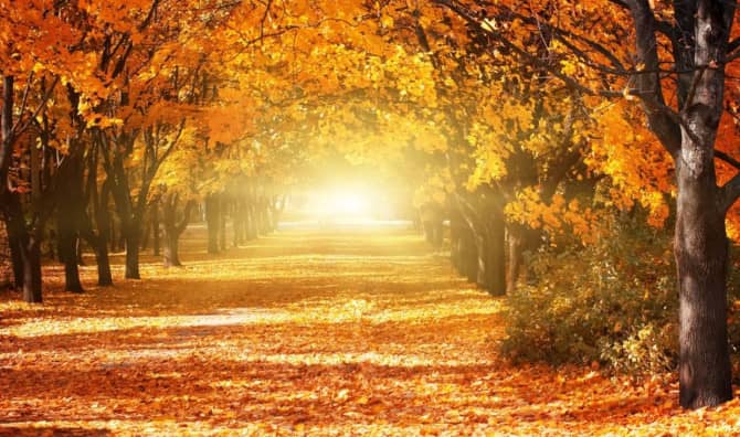 Celebrate the Fall Equinox With Meaningful Rituals
