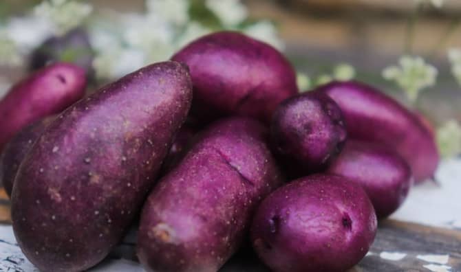 6 Proven Reasons to Eat Purple Potatoes