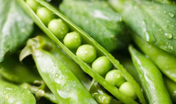 5 Excellent Health Benefits of Eating Green Peas