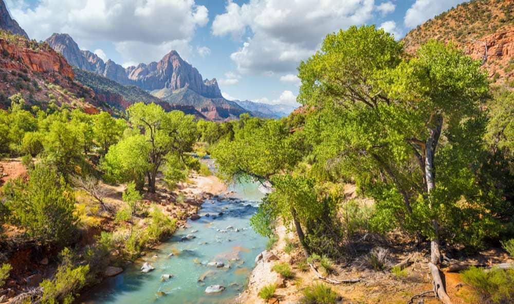 Scenic panorama of idyllic Zion National Park scenery with famous Virgin River and The Watchman mountain peak in the background.