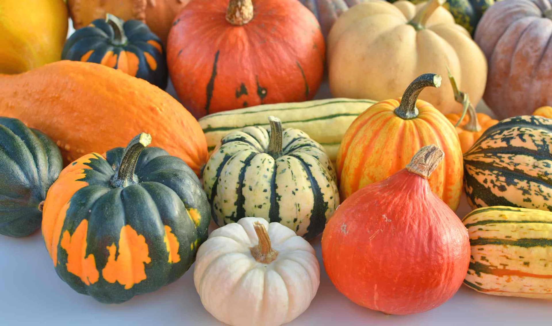 A collection of winter squash.