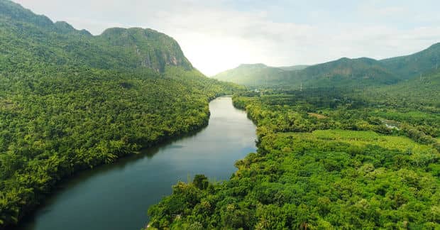 The World Is Greener Today Than It Was 20 Years Ago
