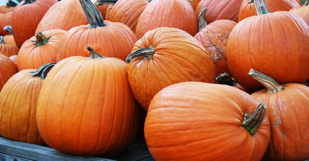 7 Things You Can Do With a Pumpkin Besides Carve It!