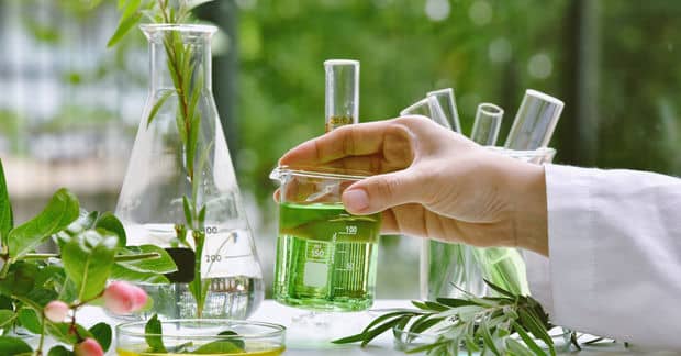This Startup is Looking for Plants With Hidden Supernutrients