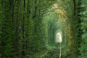 Tunnel of Love