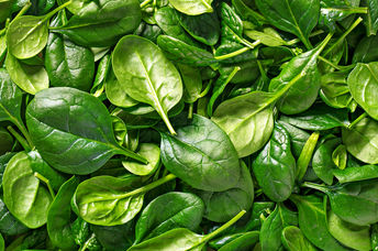 Spinach is one of the healthiest foods in the world