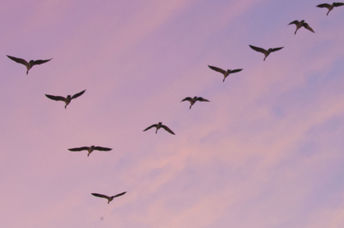 If everything in life went your way, where would you be 10 or 20 years from now? (Shutterstock)