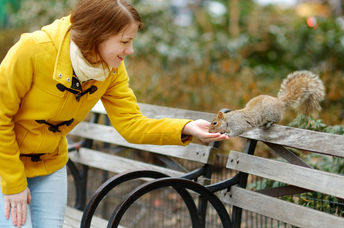 Woman feeding a squirrel in New York