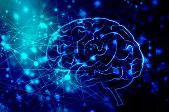 Rendering of human brain health