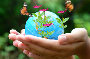 Taking care of the planet.