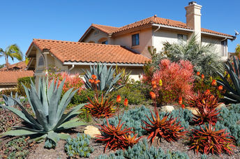 This home has drought-resistant landscaping.