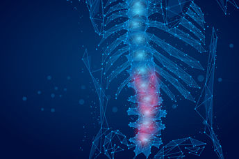 Rendering of human spine