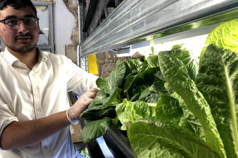 Student stands next to hydroponic lettuce